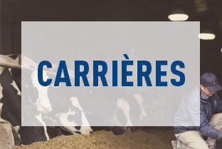 Carrières 